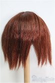 画像2: 【SALE】9〜10inch程度/ウィッグ I-24-11-03-3049-TO-ZI (2)