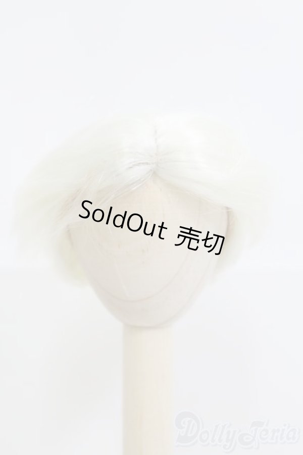 画像1: 5〜6inch/ウィッグ I-25-06-01-2021-KN-ZI (1)