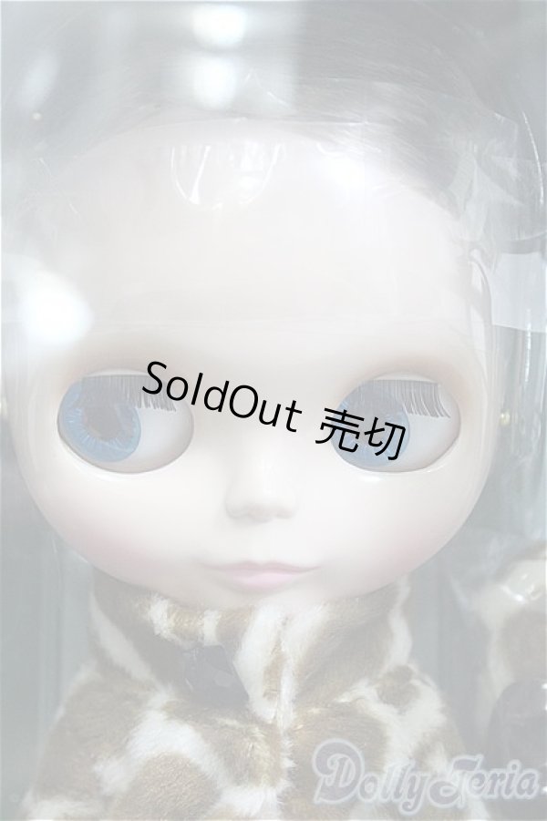 画像1: 【SALE】ネオブライス/カプチーノチャット I-24-12-01-1015-TO-ZI (1)