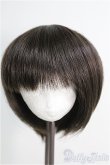 画像1: 【SALE】6〜7inch/ウィッグ I-24-11-17-2030-KN-ZI (1)