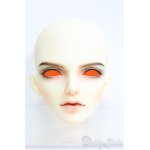 画像: 【SALE】LUTS/Super Senior Delf ECLIPSE HEAD I-24-11-24-1092-KN-ZI
