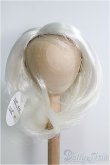 画像1: 【SALE】9〜10inch/ウィッグ I-24-12-01-3045-KN-ZI (1)