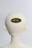 画像5: 【SALE】SDGIRL/リーゼロッテ Galerie de l'esprit 2021 秋冬Ver. I-24-03-24-1003-KN-ZI (5)