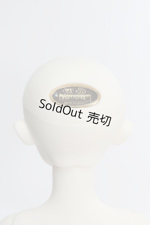 画像5: SDGIRL/リーゼロッテ Galerie de l'esprit 2021 秋冬Ver. I-24-03-24-1003-KN-ZI (5)