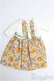 画像1: 【SALE】1/6ドール(22cm)/OF ワンピース I-24-11-24-3179-TO-ZI (1)