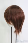 画像3: 8〜9inch/ウィッグ I-25-06-01-3033-TO-ZI (3)