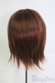 画像4: 8〜9inch/ウィッグ I-25-06-01-3033-TO-ZI (4)