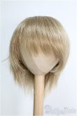 画像1: 【SALE】8〜9inch/ウィッグ I-24-12-22-3040-KN-ZI (1)