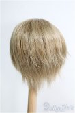 画像2: 【SALE】8〜9inch/ウィッグ I-24-12-22-3040-KN-ZI (2)