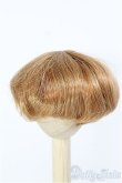 画像1: 【SALE】7〜8inch/ウィッグ I-24-11-24-2025-TO-ZI (1)
