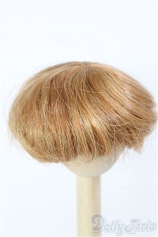 画像2: 【SALE】7〜8inch/ウィッグ I-24-11-24-2025-TO-ZI (2)