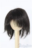 画像1: 【SALE】7〜8inch/ウィッグ I-24-11-24-2024-TO-ZI (1)