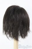 画像2: 【SALE】7〜8inch/ウィッグ I-24-11-24-2024-TO-ZI (2)