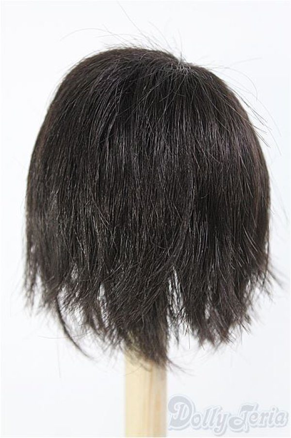 画像2: 【SALE】7〜8inch/ウィッグ I-24-11-24-2024-TO-ZI (2)