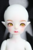 画像2: 【SALE】dreamvalley/Sherra Human Ver. I-24-03-31-1006-KN-ZI (2)