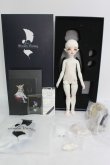 画像5: 【SALE】dreamvalley/Sherra Human Ver. I-24-03-31-1006-KN-ZI (5)
