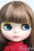 画像2: 【SALE】ネオブライス/ピクニックアルフレスコ I-24-12-15-1072-KN-ZI (2)