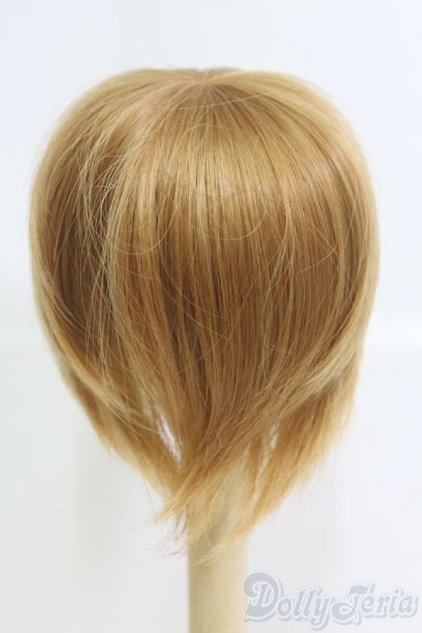 画像3: 7〜8inch/ウィッグ I-25-06-22-2019-KN-ZI (3)