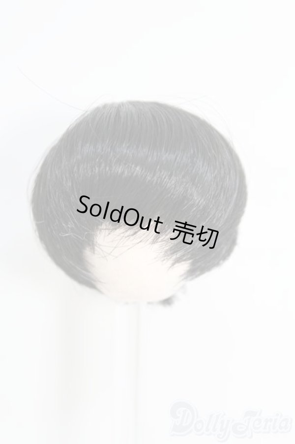 画像1: 3.5〜4inch/ウィッグ I-25-06-01-2026-KN-ZI (1)