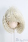 画像1: 【SALE】3.5〜4inch/ウィッグ I-24-12-22-2017-KN-ZI (1)