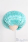 画像1: 【SALE】3.5〜4inch/ウィッグ I-24-11-24-3022-KN-ZI (1)