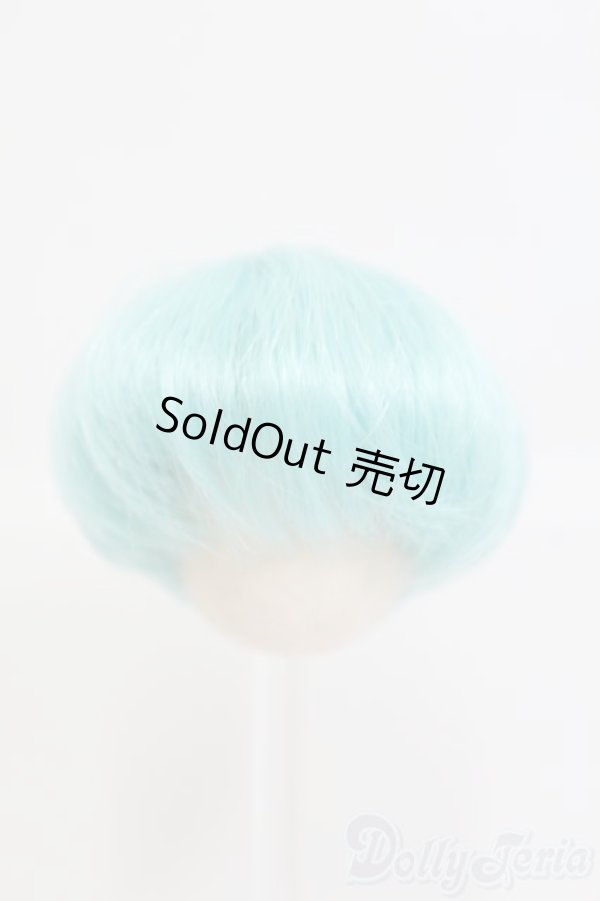 画像1: 3.5〜4inch/ウィッグ I-25-06-01-2024-KN-ZI (1)