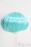 画像1: 【SALE】3.5〜4inch/ウィッグ I-24-11-24-3023-KN-ZI (1)