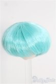 画像2: 【SALE】3.5〜4inch/ウィッグ I-24-11-24-3023-KN-ZI (2)