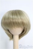画像1: 【SALE】7〜8inch/ウィッグ I-24-12-01-3027-KN-ZI (1)