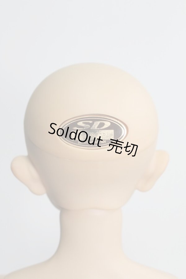 画像5: SD13BOY/セシルザスカーフェイス 銀貨の誓い I-24-04-07-1004-KN-ZI (5)