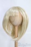 画像1: 9〜10inch/ウィッグ I-25-04-27-3024-KN-ZI (1)
