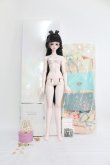 画像5: 【SALE】Angel Studio/太平公主フルセット I-24-04-07-1005-TO-ZI (5)