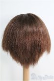 画像2: 【SALE】9〜10inch/ウィッグ I-24-12-08-3028-TO-ZI (2)
