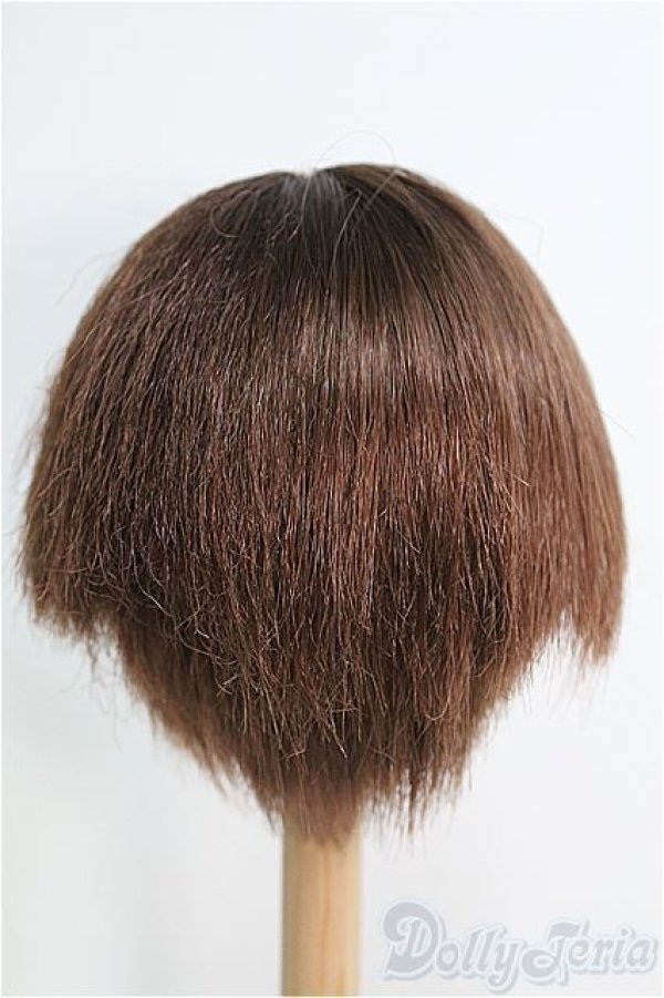 画像2: 【SALE】9〜10inch/ウィッグ I-24-12-08-3028-TO-ZI (2)