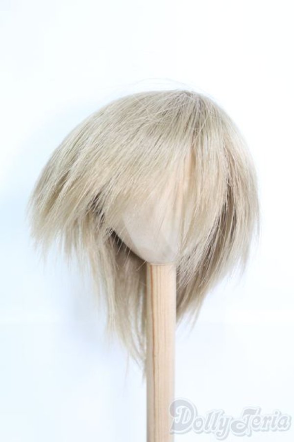 画像1: 9〜10inch/ウィッグ/インチ　BJD　MJD　ドール用 I-25-07-06-2045-KN-ZI (1)