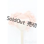 画像: ダル/ウィッグ I-25-01-19-2038-TO-ZI