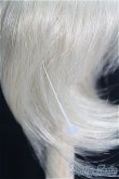 画像3: 【SALE】7〜8inch/ウィッグ I-24-12-29-2045-TN-ZI (3)