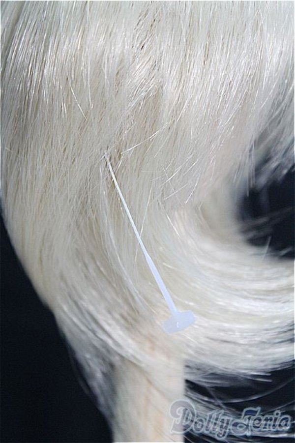 画像3: 【SALE】7〜8inch/ウィッグ I-24-12-29-2045-TN-ZI (3)