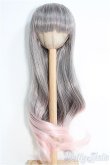 画像1: 【SALE】8〜9inch/ウィッグ I-24-12-29-2054-KN-ZI (1)