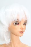 画像4: 【SALE】Gem of Doll/Carlos I-24-04-28-1008-TO-ZI (4)