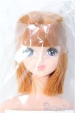 画像1: 【SALE】キャッスルジェニー/たまき:おたのしみドール I-24-12-22-1063-KN-ZI (1)