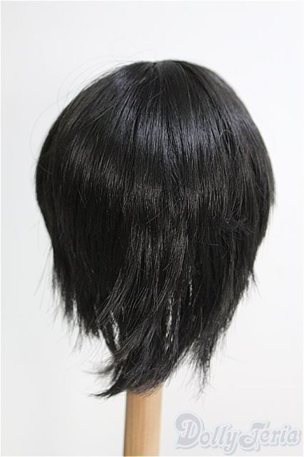 画像2: 【SALE】8〜9inch/ウィッグ I-24-12-22-3054-KN-ZI (2)
