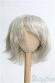 画像1: 【SALE】8〜9inch/ウィッグ I-24-12-22-3046-KN-ZI (1)