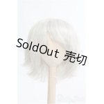 画像: 【SALE】8〜9inch/ウィッグ I-24-12-22-3046-KN-ZI