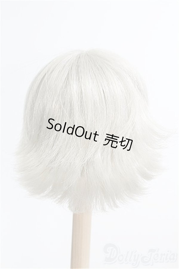 画像2: 【SALE】8〜9inch/ウィッグ I-24-12-22-3046-KN-ZI (2)