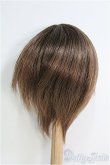 画像2: 【SALE】8〜9inch/ウィッグ I-24-12-22-3045-KN-ZI (2)