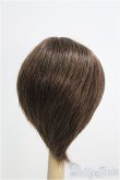 画像2: 【SALE】6〜7inch/ウィッグ I-24-12-22-3021-TO-ZI (2)