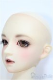 画像4: 【SALE】SD16GIRL/楢崎龍 I-24-12-29-1001-TO-ZI (4)