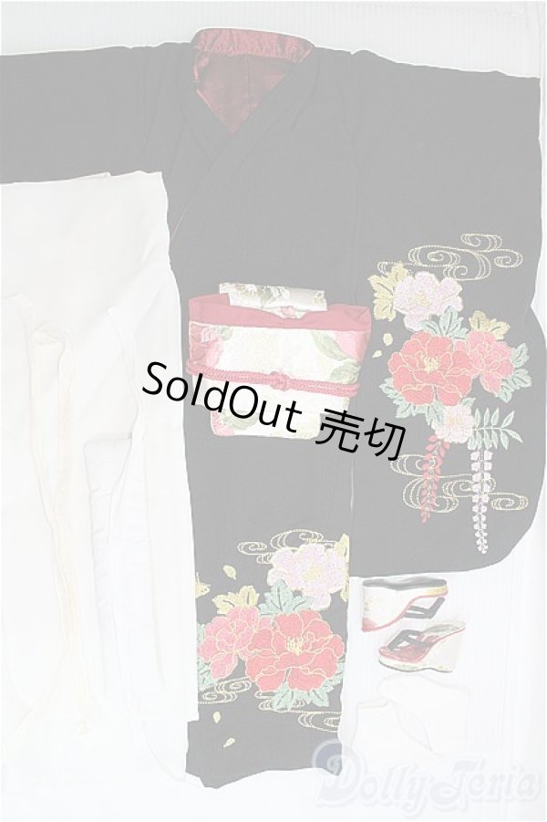 画像7: SD16GIRL/楢崎龍/ I-25-08-17-303-TO-ZI (7)