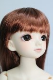 画像3: 【SALE】SDM/コーディネートモデル F-95 I-24-04-28-1007-TO-ZI (3)